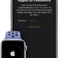 How To Reset Your Apple Watch Activation Lock 14 How To Reset Your Apple Watch Activation Lock 13