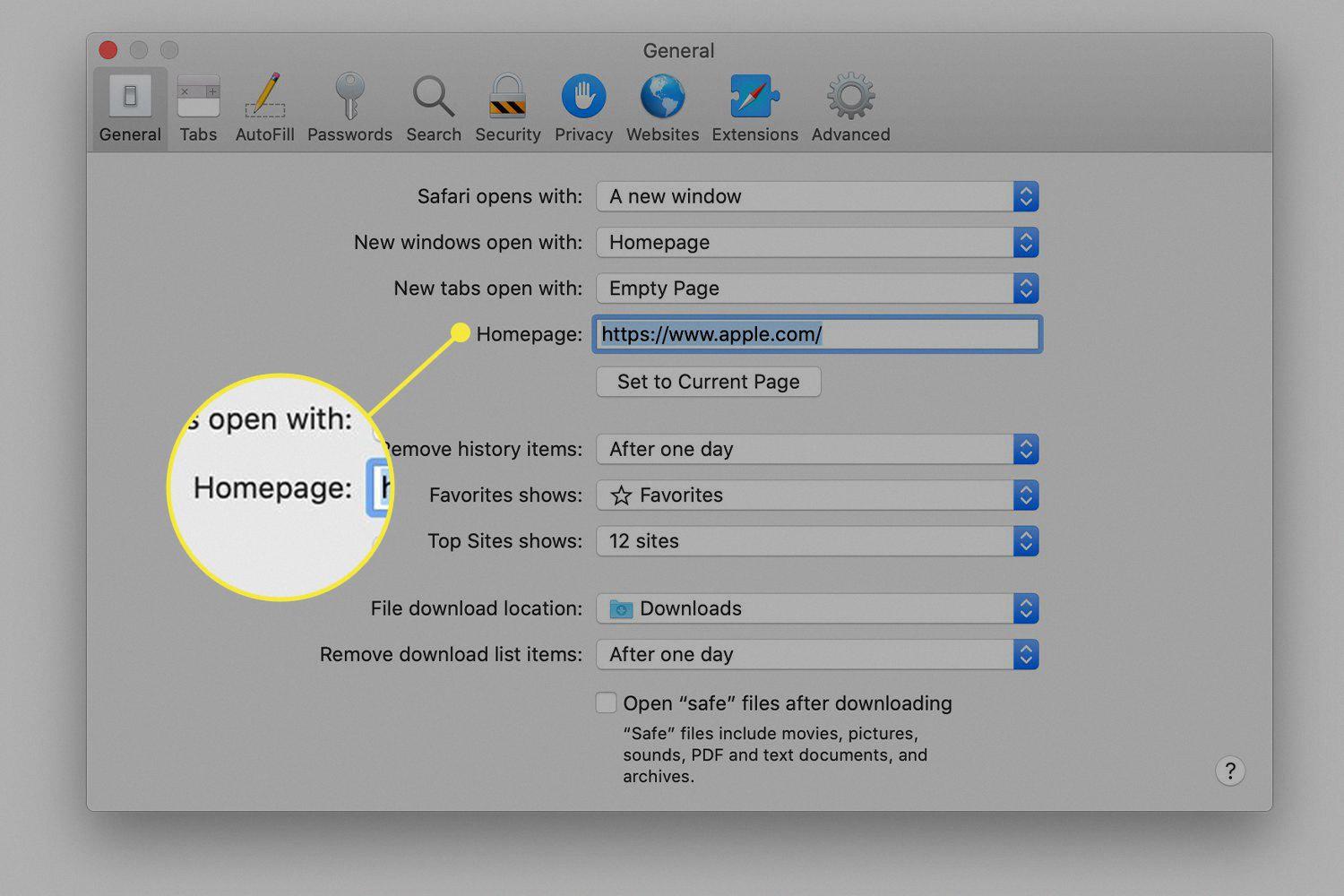make safari home screen make safari home screen