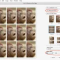 How To Print Wallet-Sized Photos On Mac 10 How To Print Wallet-Sized Photos On Mac 9