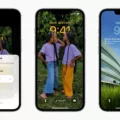 Unlock New Visuals with Safari Live Wallpaper 6 Unlock New Visuals with Safari Live Wallpaper 5