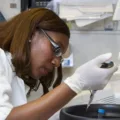 All You Need To Know About LabQuest Appointments 1 lab