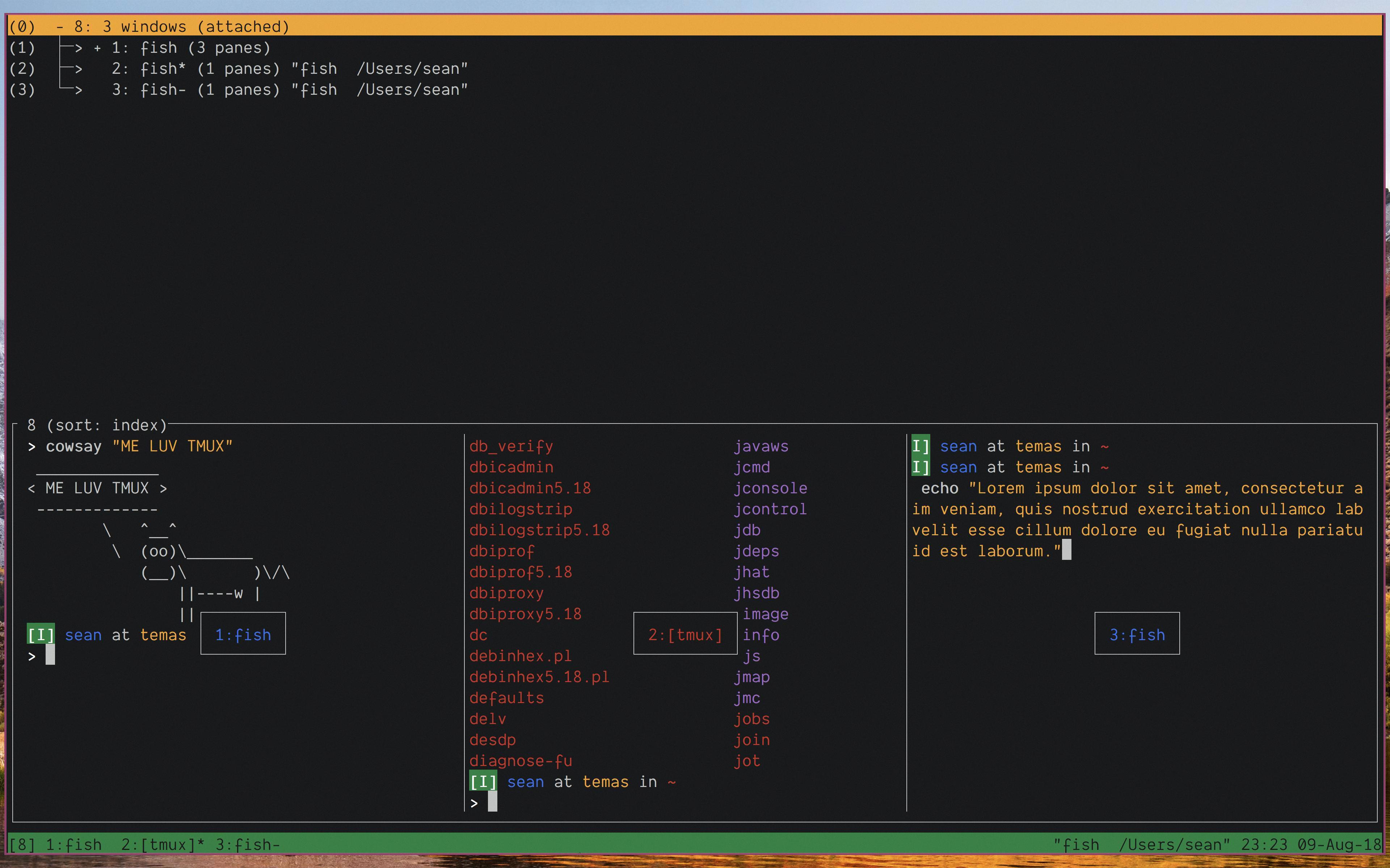 tmux windows tmux windows