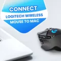 How to Solve Logitech Mouse Connection Issues on Macs 14 How to Solve Logitech Mouse Connection Issues on Macs 13