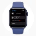 How to Manage Unread Messages on Your Apple Watch 10 How to Manage Unread Messages on Your Apple Watch 9