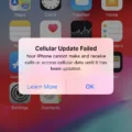 How to Troubleshoot No-Service Issues On the iPhone 12? 16 How to Troubleshoot No-Service Issues On the iPhone 12? 15