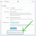 How To Delete Twitter 12 How To Delete Twitter 11