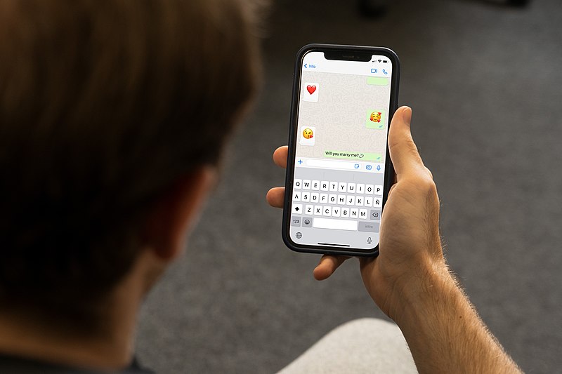 Why WhatsApp Calls are Showing on Your Phone Log 6 Why WhatsApp Calls are Showing on Your Phone Log 5