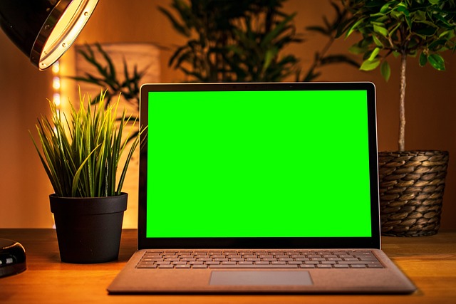 How to Fix a Green Screen on Your Macbook? 2 How to Fix a Green Screen on Your Macbook? 1
