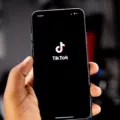 What Is Beard Filter 3 tiktok