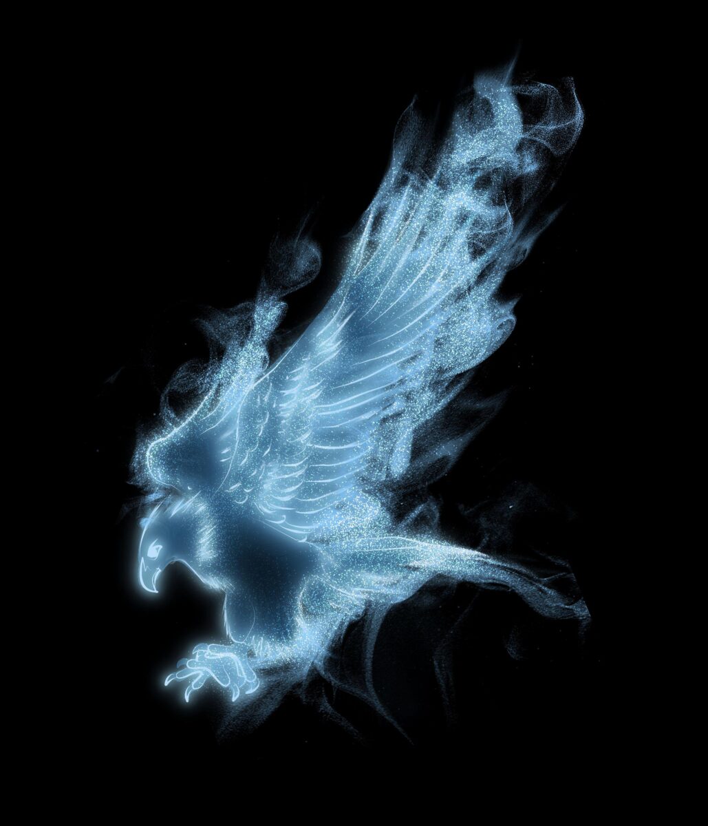 Everything you need to know about Patronus Test 4 Everything you need to know about Patronus Test 3