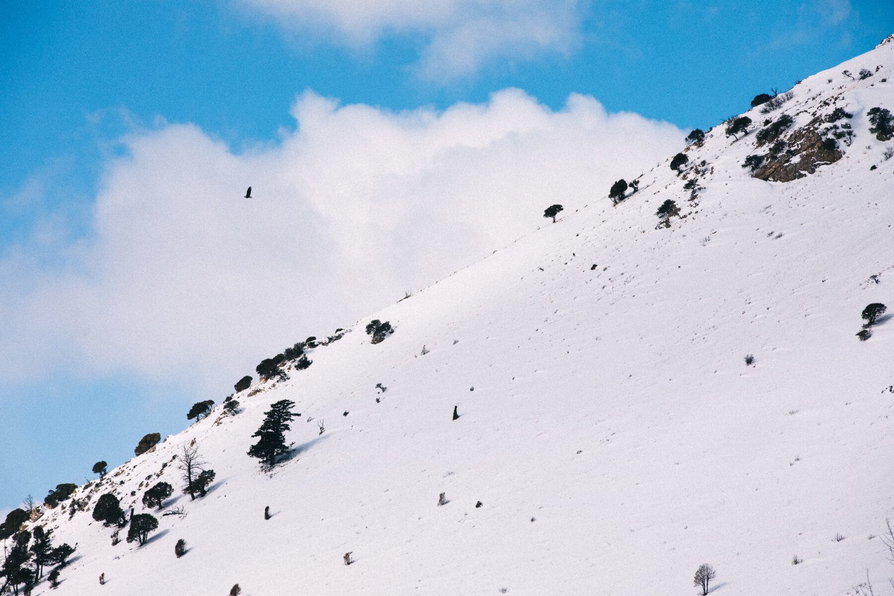 Steepness of the Slope: What Does It Mean? 3 slope