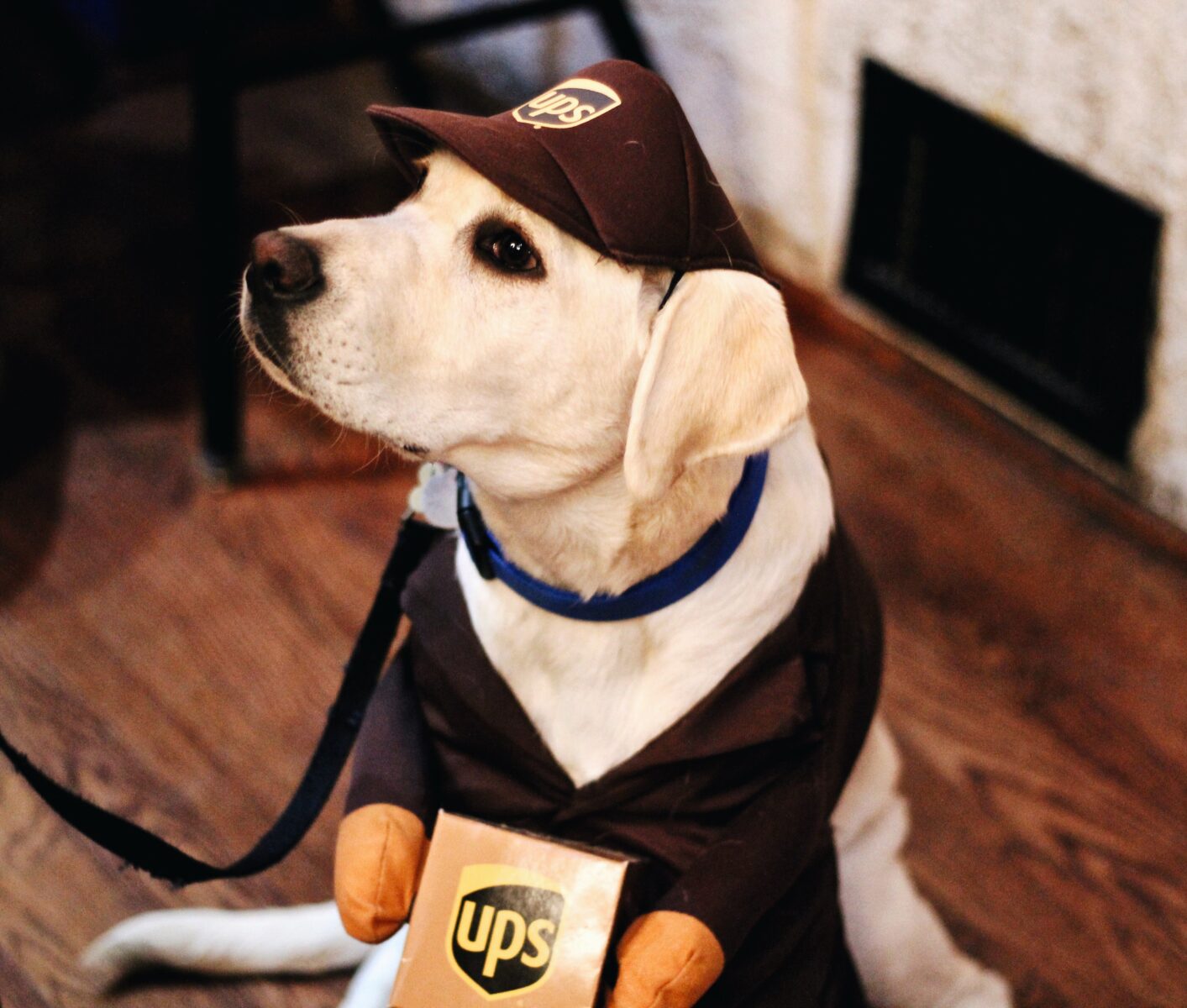 What Are the Benefits of UPS MyChoice? 1 ups