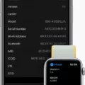 What Is Apple Watch IMEI ? 13 What Is Apple Watch IMEI ? 12
