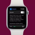 What To Do If Apple Watch Keeps Zooming In? 12 What To Do If Apple Watch Keeps Zooming In? 11