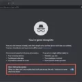 How To Open Incognito Tab 12 How To Open Incognito Tab 11