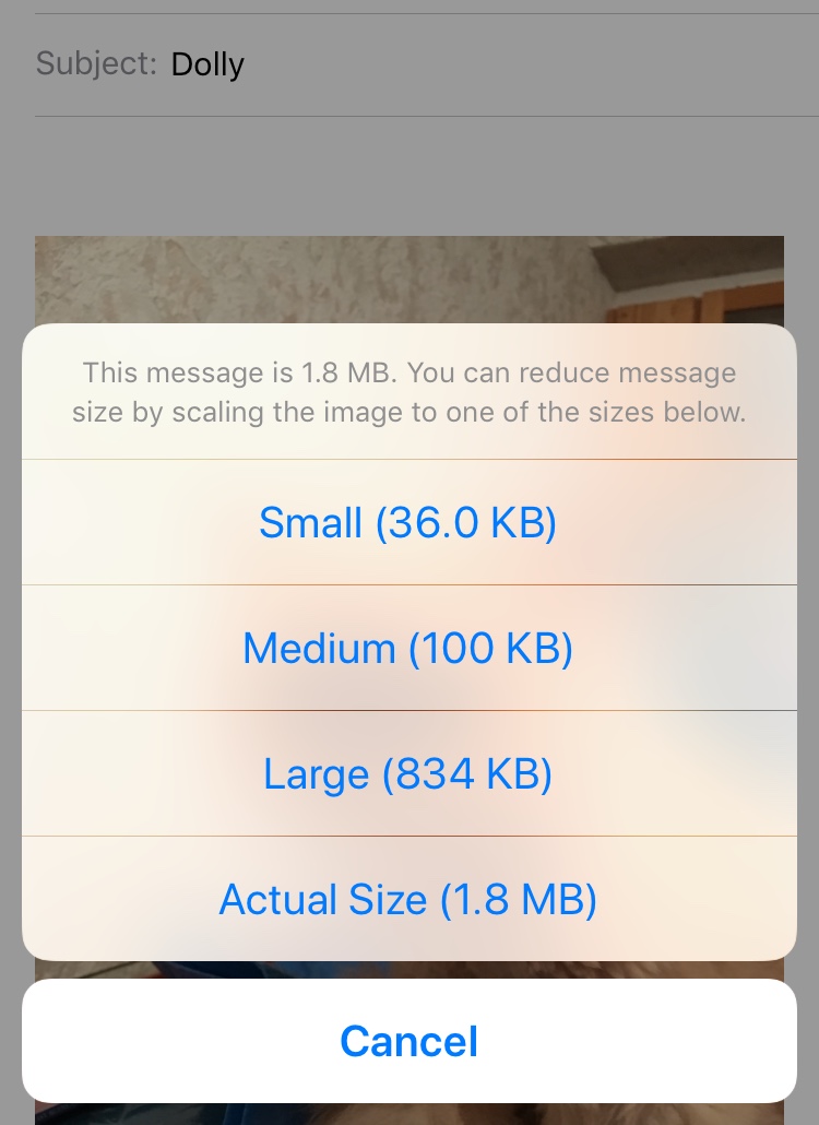 How to Reduce Photo Size on iPhone 2 How to Reduce Photo Size on iPhone 1