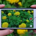 How to Remove Sound From Your iPhone Video 4 How to Remove Sound From Your iPhone Video 3