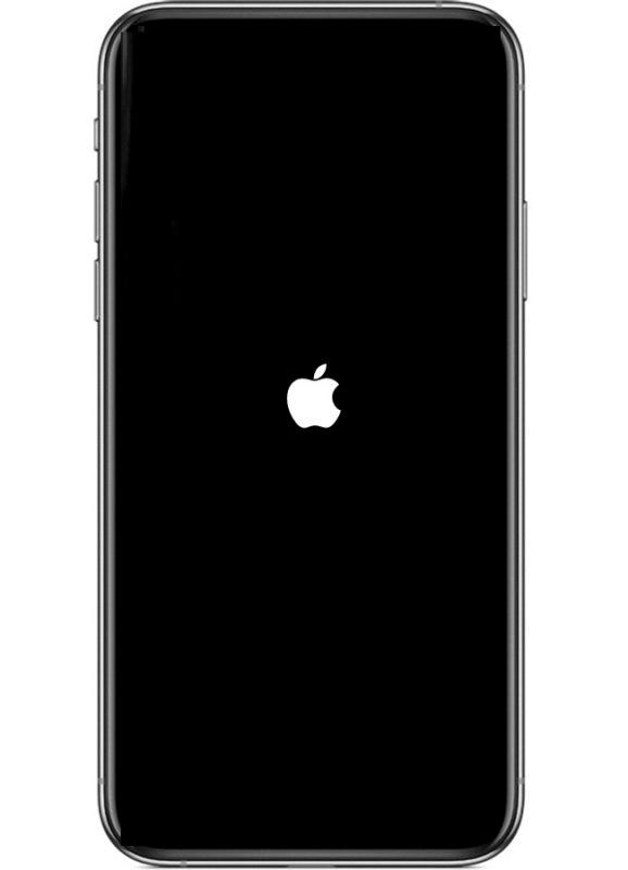 iphone 11 stuck on apple logo iphone 11 stuck on apple logo