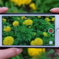 How to Speed Up Videos on iPhone 6 How to Speed Up Videos on iPhone 5