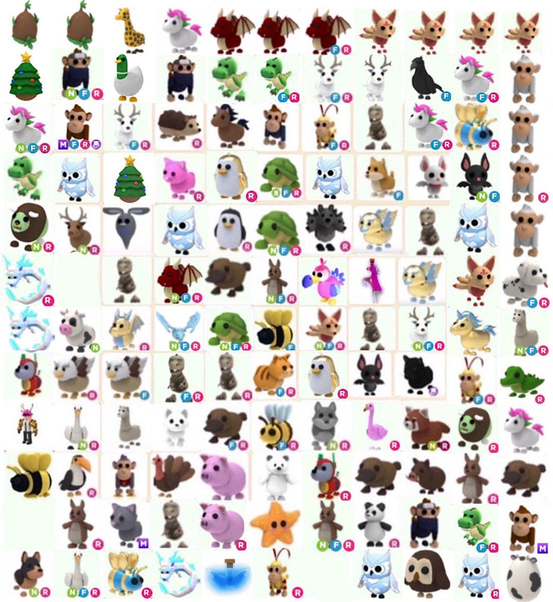 safari egg adopt me safari egg adopt me