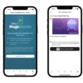 How to Add Your Disney Magic Pass to Your Apple Wallet 15 How to Add Your Disney Magic Pass to Your Apple Wallet 14