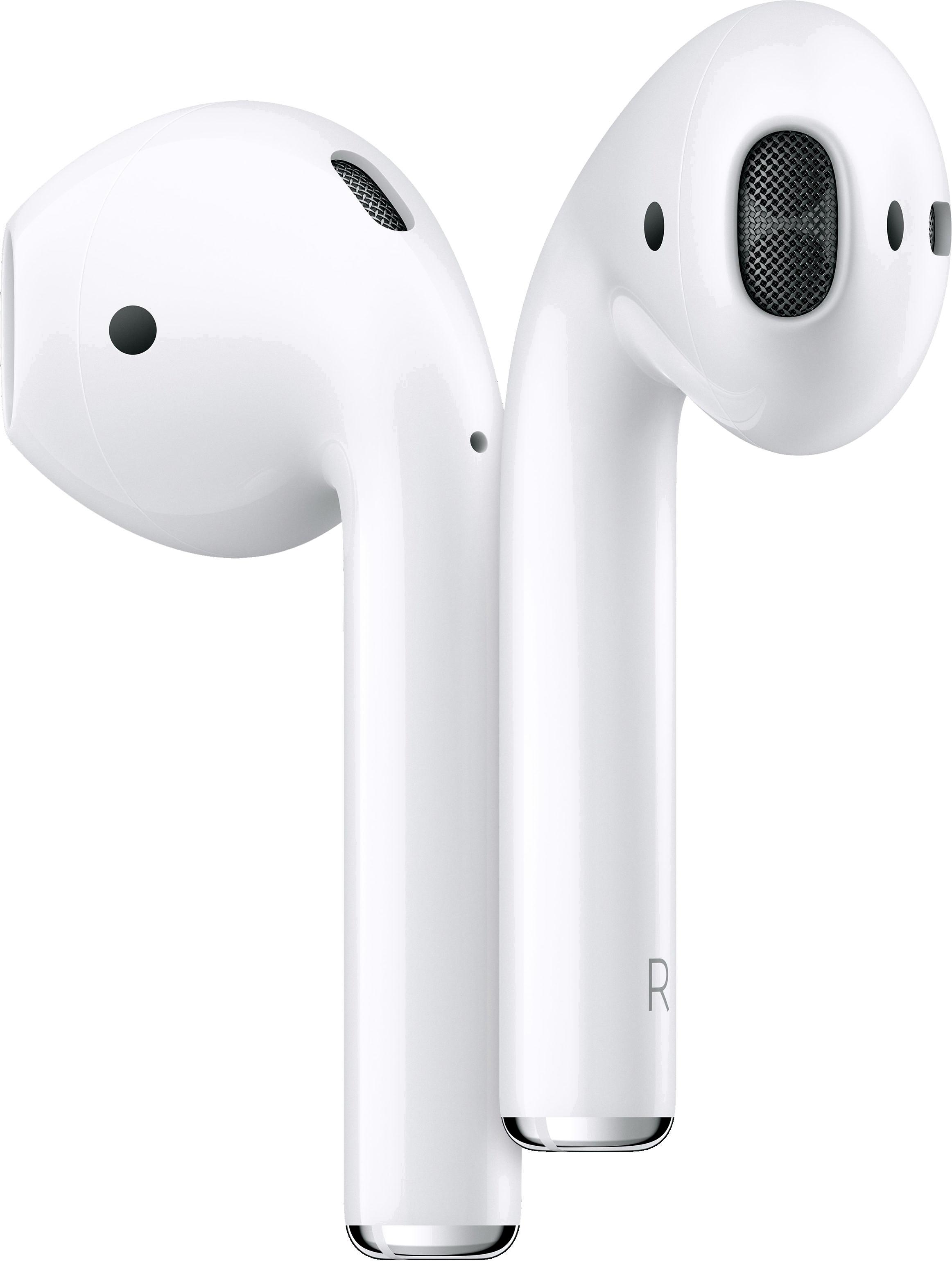 What to Do When Your Airpods Are Chewed Up 2 What to Do When Your Airpods Are Chewed Up 1