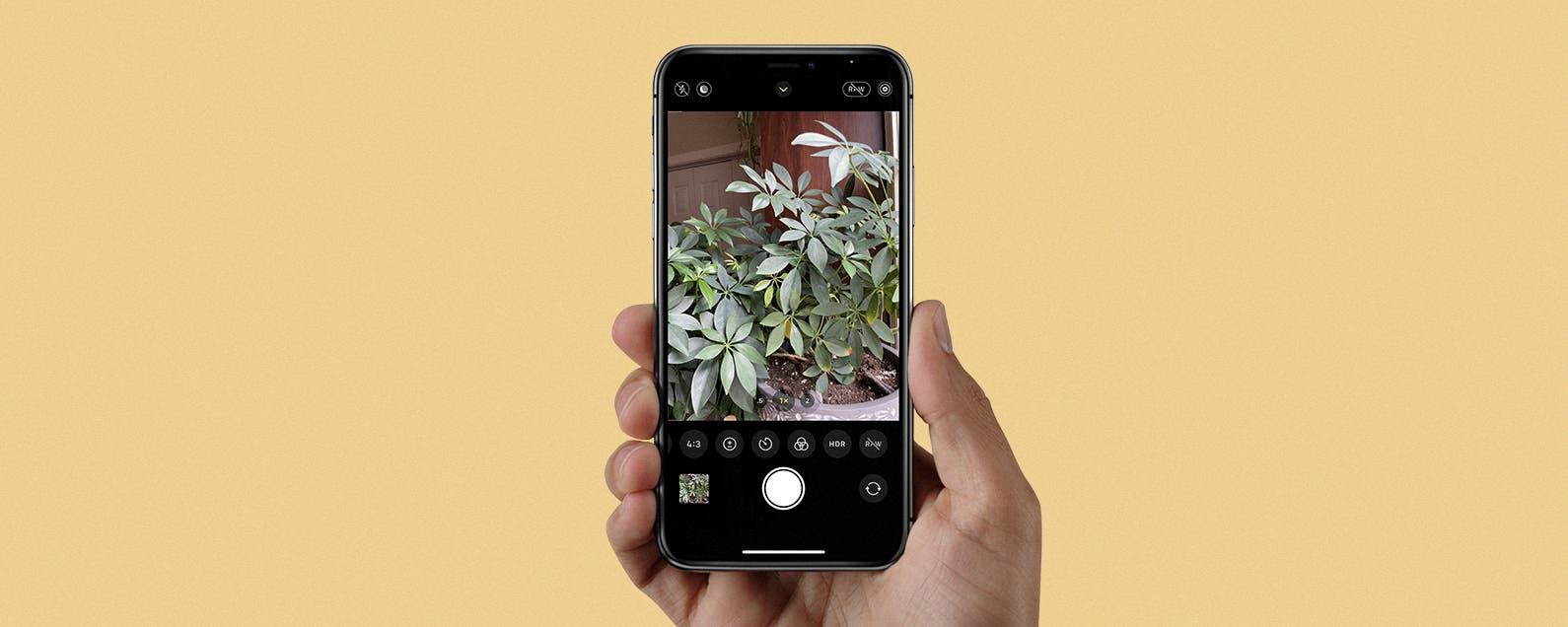 hdr pictures on iphone hdr pictures on iphone