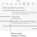 How To Clear History On Safari With Restrictions On 4 How To Clear History On Safari With Restrictions On 3
