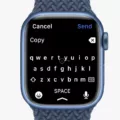 How To Install Flicktype On Apple Watch 10 How To Install Flicktype On Apple Watch 9
