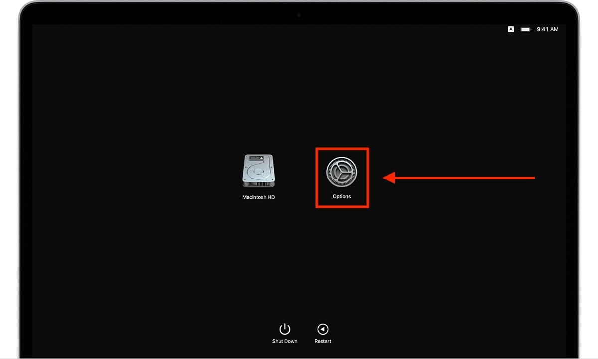 How to Boot Your Mac From Dvd 4 How to Boot Your Mac From Dvd 3