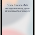 How To Check Your Private Browsing History On Safari iPhone 17 How To Check Your Private Browsing History On Safari iPhone 16