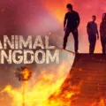 How to Stream Animal Kingdom Season 6 16 How to Stream Animal Kingdom Season 6 15