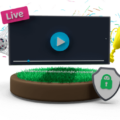 How to Stream the FIFA World Cup Anywhere with a VPN 10 How to Stream the FIFA World Cup Anywhere with a VPN 9