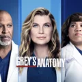 Where to Watch 'Grey's Anatomy' Season 18 8 Where to Watch 'Grey's Anatomy' Season 18 7