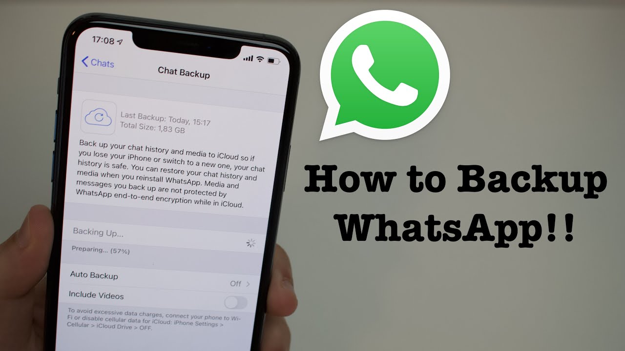 How to Back Up WhatsApp Messages on Your iPhone When Storage is Full? 2 How to Back Up WhatsApp Messages on Your iPhone When Storage is Full? 1