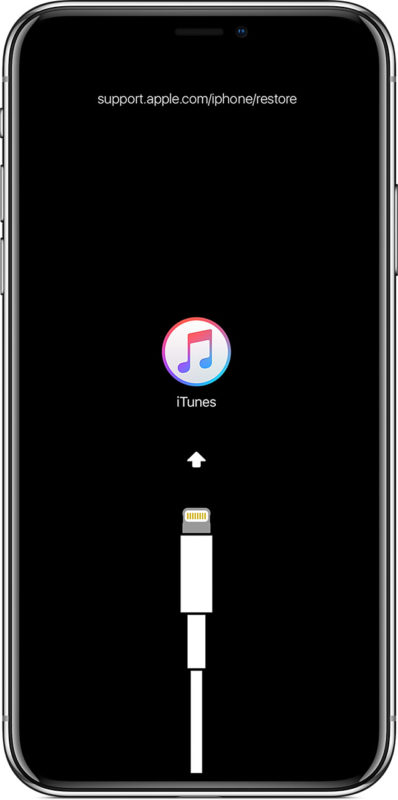 How to Connect iPhone XR to iTunes 2 How to Connect iPhone XR to iTunes 1