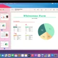 Where To Find and Use Preview App On Mac? 12 Where To Find and Use Preview App On Mac? 11