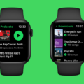 How to Listen to Spotify on Your Apple Watch? 18 How to Listen to Spotify on Your Apple Watch? 17