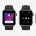 How to Download Spotify on Your Apple Watch? 16 How to Download Spotify on Your Apple Watch? 15