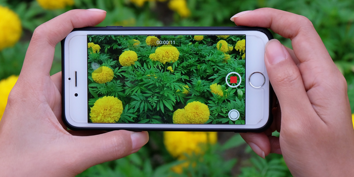 A Guide to iPhone Video Size Pixels 2 A Guide to iPhone Video Size Pixels 1