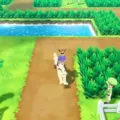 How To Get To The Safari Zone In Pokemon Let’s Go Pikachu? 8 How To Get To The Safari Zone In Pokemon Let’s Go Pikachu? 7