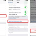 Why is Clear History Greyed Out In Safari on iPhone? 14 Why is Clear History Greyed Out In Safari on iPhone? 13