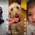 How to Put Text on Tiktok Videos At Different Times? 18 How to Put Text on Tiktok Videos At Different Times? 17