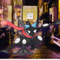 How to Get Shiny Greninja in Pokémon GO? 14 How to Get Shiny Greninja in Pokémon GO? 13