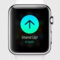 How to Change the Stand Reminder Time on Apple Watch? 12 How to Change the Stand Reminder Time on Apple Watch? 11