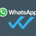 Understanding Blue Check Marks on WhatsApp 6 Understanding Blue Check Marks on WhatsApp 5