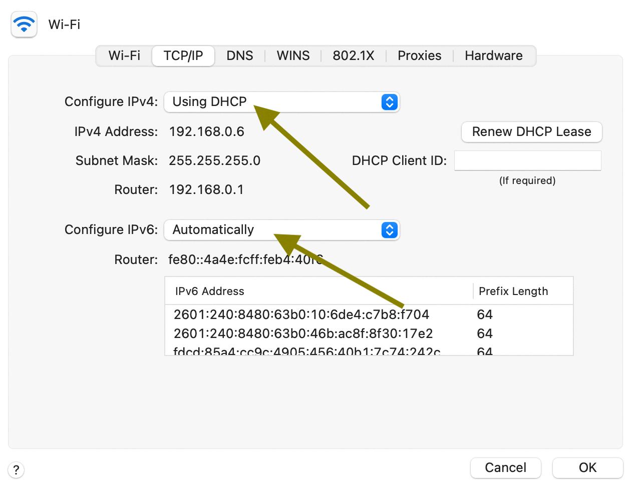 self assigned ip address self assigned ip address