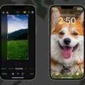 How Do You Crop a Picture On Your iPhone? 12 How Do You Crop a Picture On Your iPhone? 11