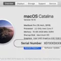 How to Find Your Apple Device's Manufacture Date Using Its Serial Number? 2 How to Find Your Apple Device's Manufacture Date Using Its Serial Number? 1