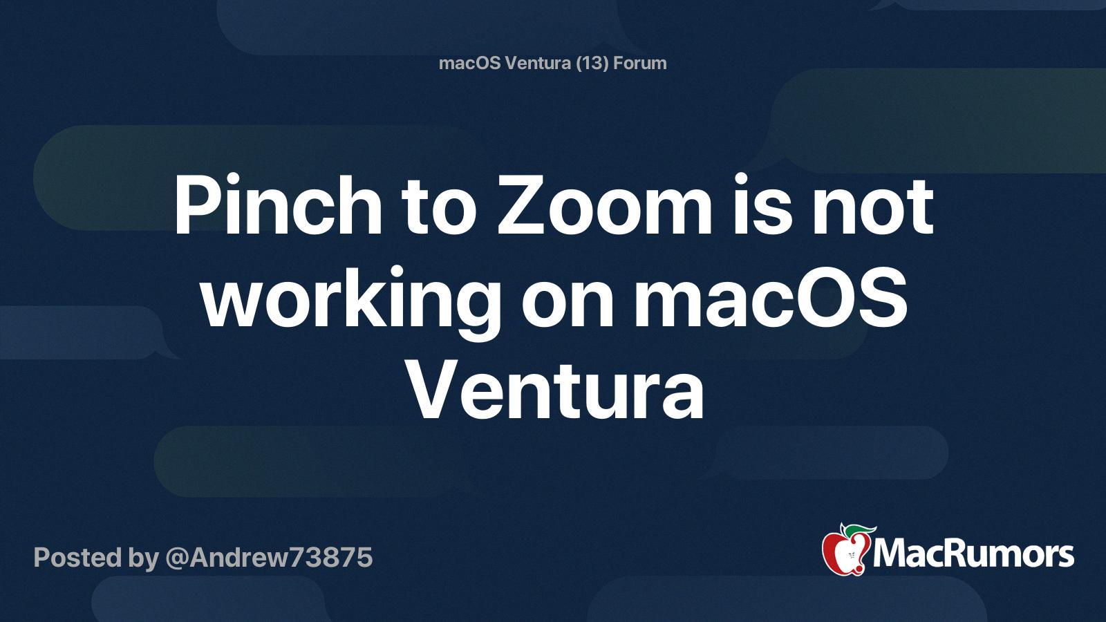 pinch zoom not working pinch zoom not working